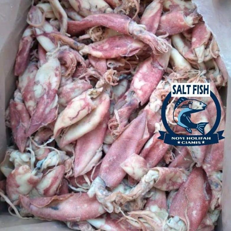 

[Terkece Se-RI] ikan CUMI asin kering; 500 gram murah enak