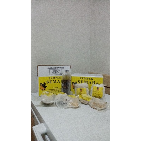 

Paket A (Mini) isi 25pcs Pempek Semar