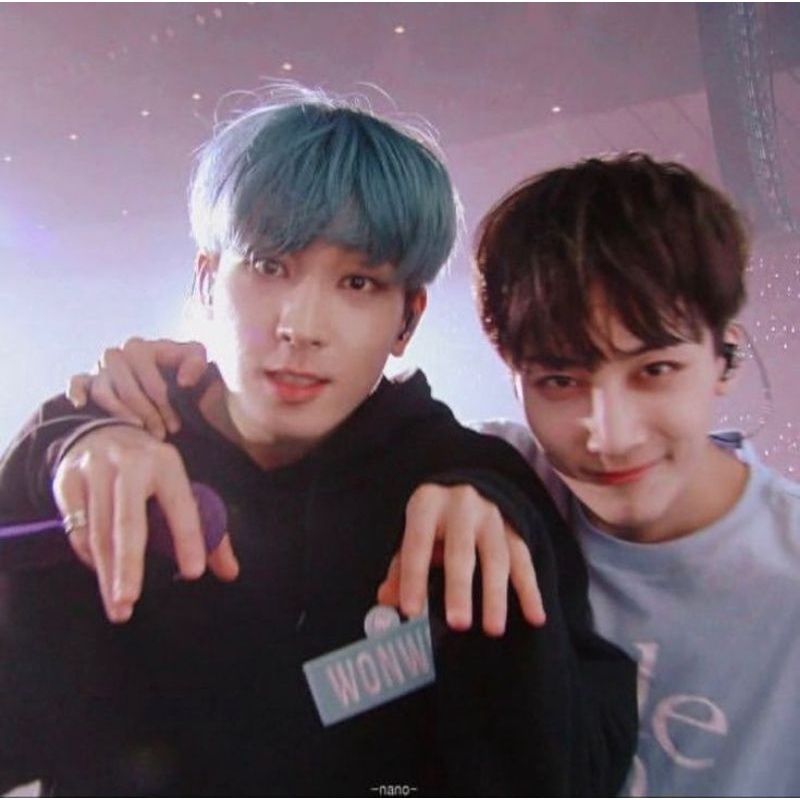 FTS Control Jeonghan & HMV Fallin' Flower Blue Wonwoo