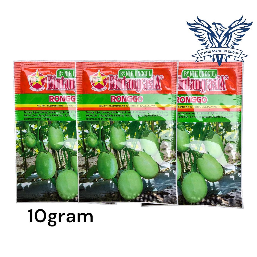 Benih TERONG HIJAU BULAT RONGGO 10 Gr / benih sayuran/ bibit sayuran