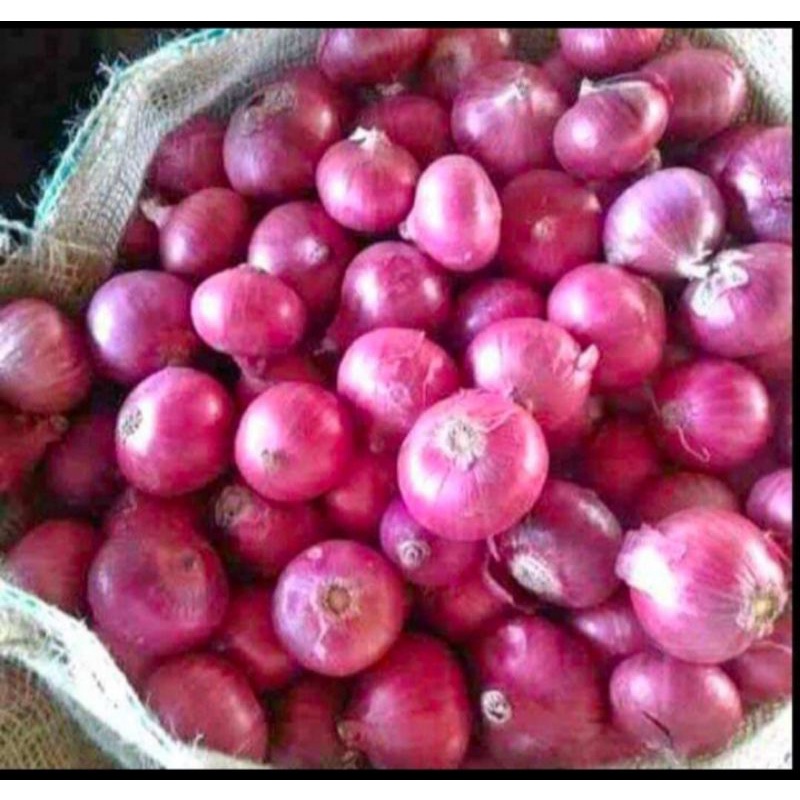 

bawang merah besar/bawang merah india/bawang merah import