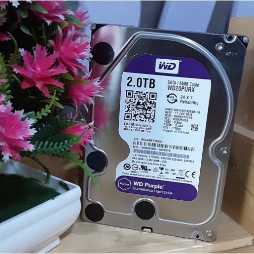 Terlaris Harddisk 2Tb Wd Purple