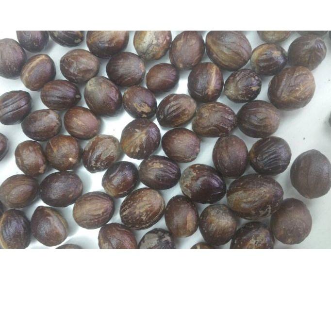 

♣ Pala bulat dapat 1 kg. Kualitas Ekspor ☚