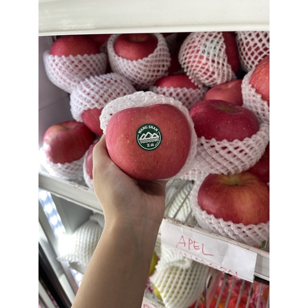 

buah apel fuji wangshan / pohon apel fuji sunmoon