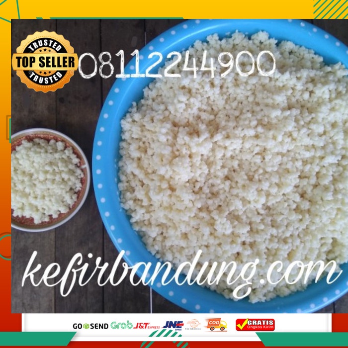 

[ COD ] bibit kefir super muraahh!!! - 50 gr