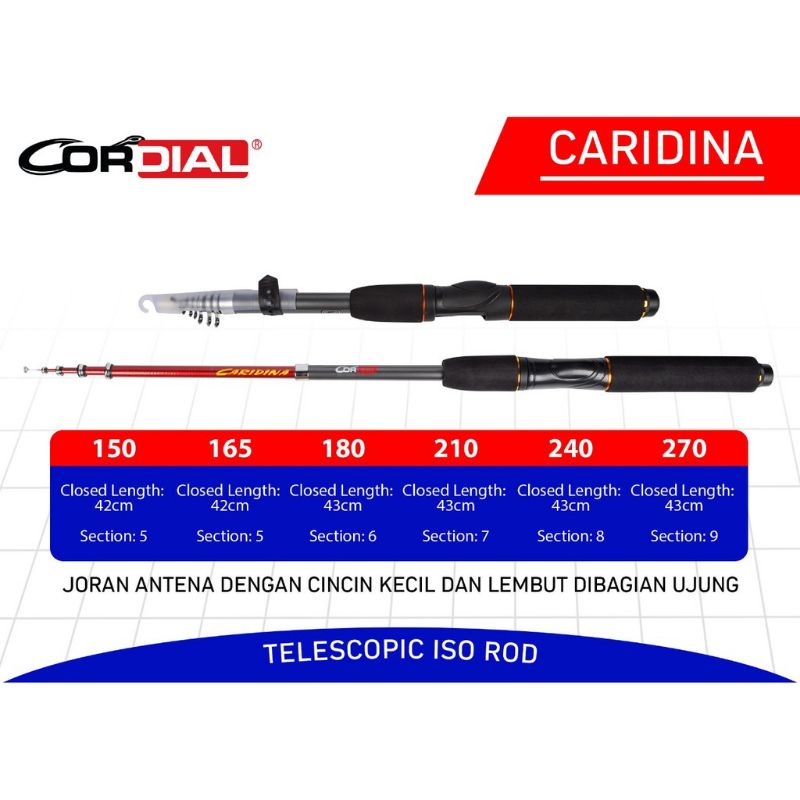 joran antena cordial caridina
