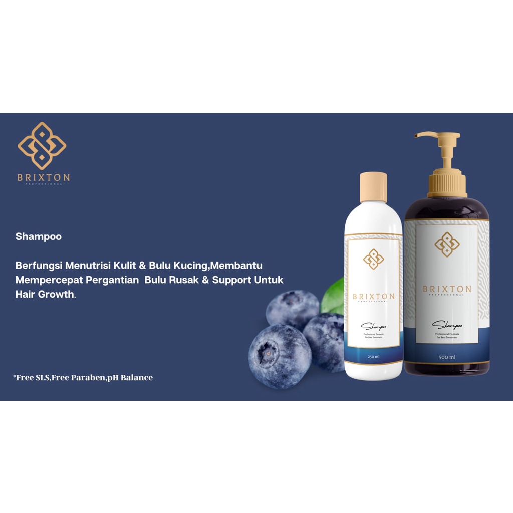 Brixton Shampoo 250 Ml