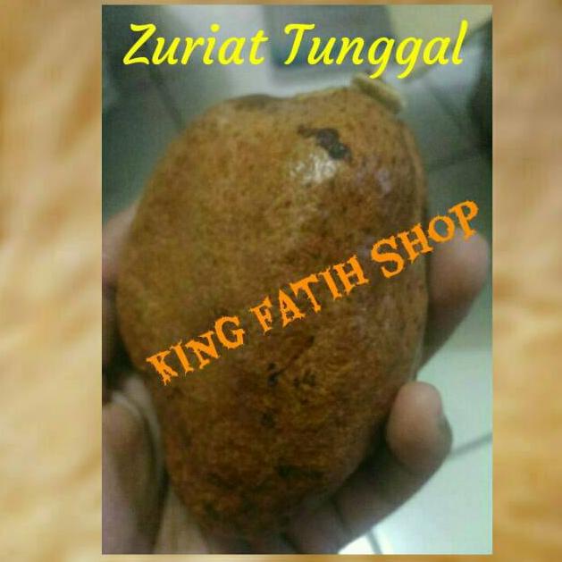 

Terbukti Buah Zuriat Tunggal Mesir 1 Kg (Untuk Promil dan Penurun Darah Tinggi) Ayo Beli Sekarang