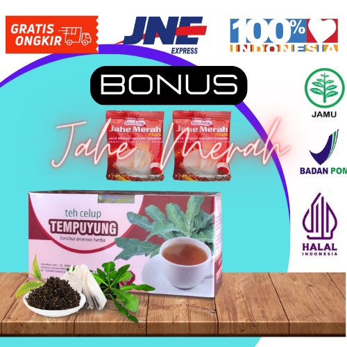 

Teh Tempuyung herbal BATU GINJAL dan INFEKSI SALURAN URIN isi 20 kantung teh celup tazakka BPOM Original HALAL MUI