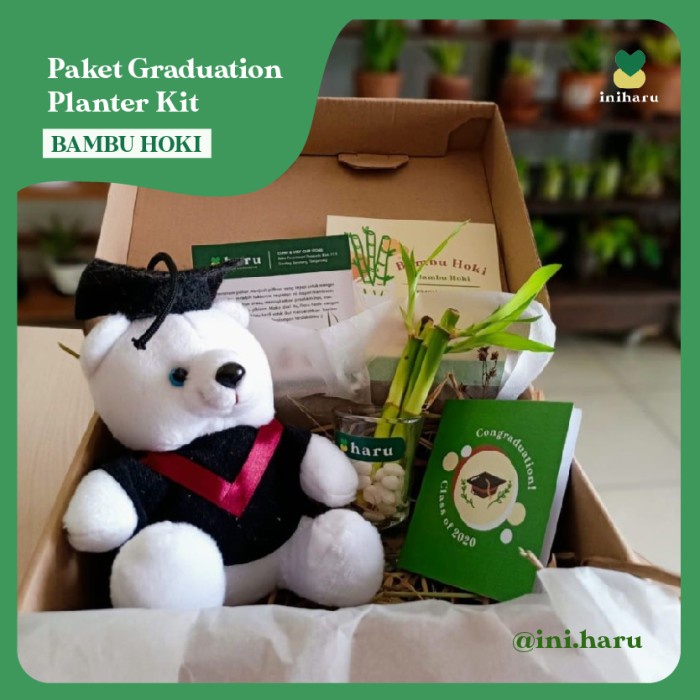 

(COD) SPECIAL GRADUATION HAMPERS PLANTER KIT // PAKET WISUDA BONEKA