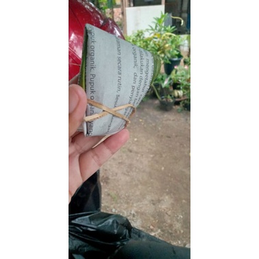 

tempe benguk mentah asli Kulonprogo Yogyakarta