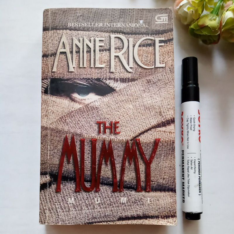 novel klasik The Mummy by Anne Rice bekas