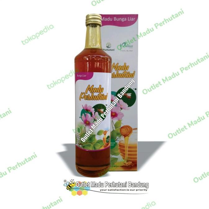 

Madu Perhutani Bunga Liar 650 ml