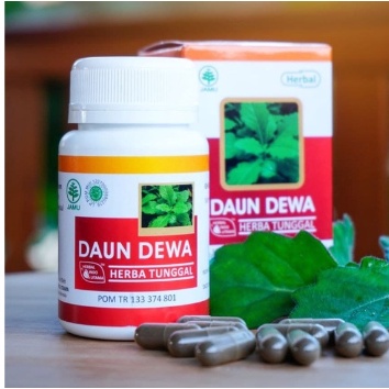 

DAUN DEWA