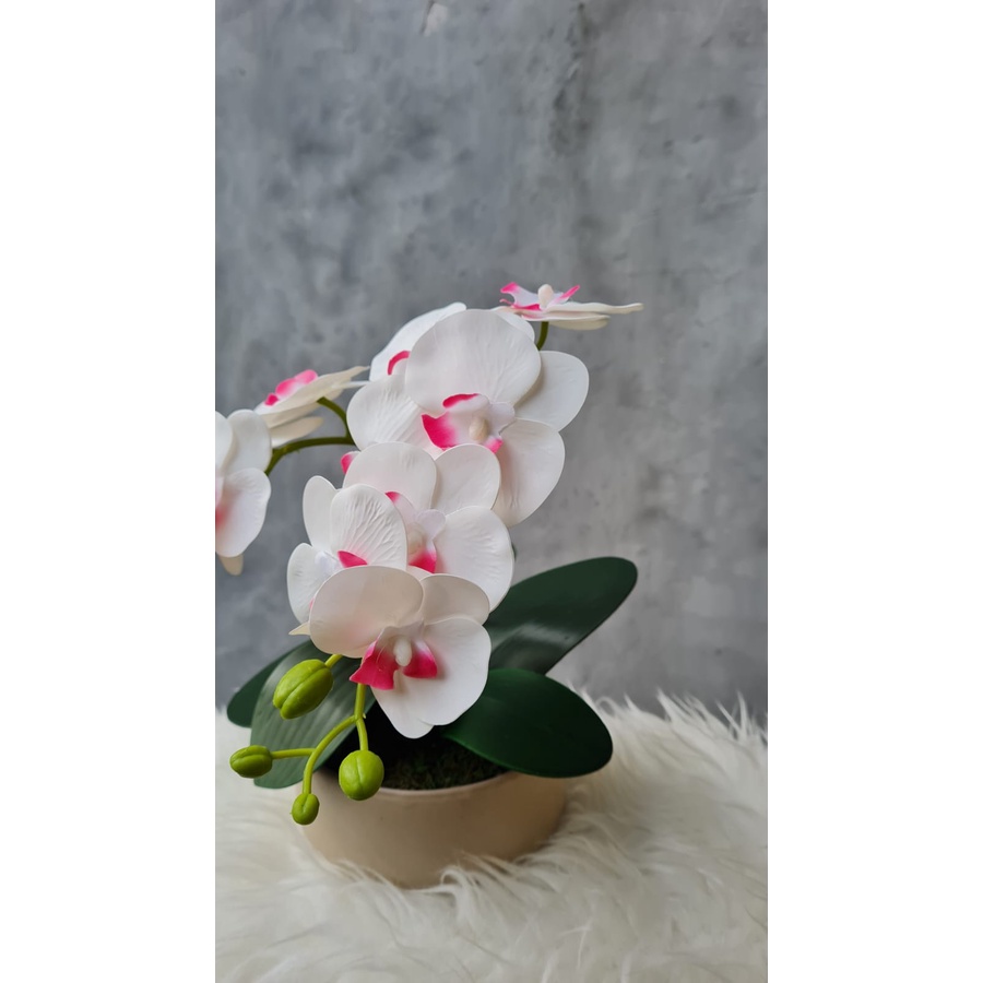 Pot Keramik dan Anggrek Putih Artificial