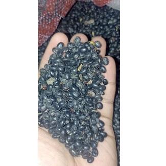 

>XG34448< 500 gram Black SOYBEAN Kacang kedelai Hitam