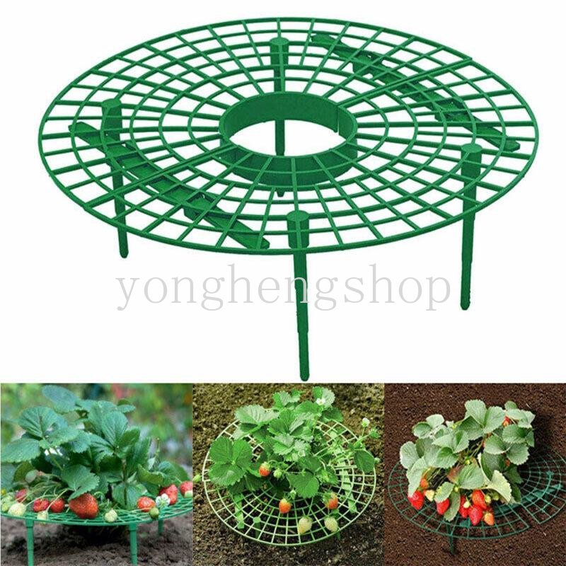 Strawberry Stand Frame Holder Balkon Rak Tanam Penyangga Buah Tanaman Bunga Rambat Rambat Pilar Berkebun Stand