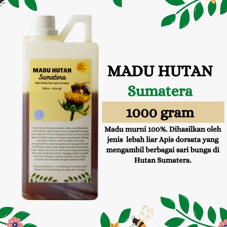 

➴ Hutan Asli Murni Raw Honey 1000 Gram ☜