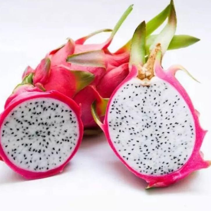 

♠ Buah Naga putih Dragon white 1 kg ☉