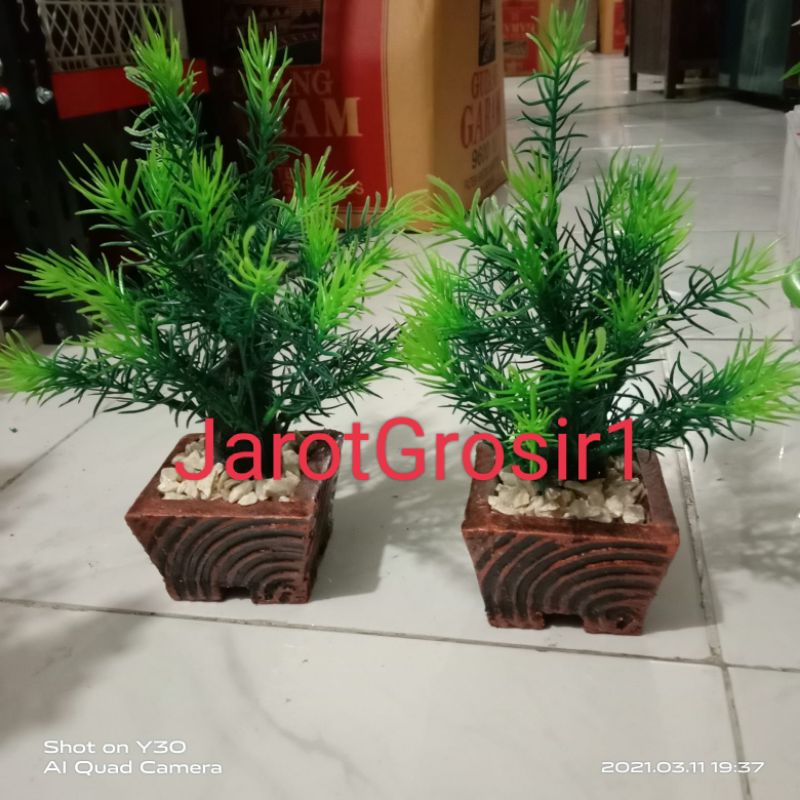 BUNGA MEJA CEMARA TINGGI 25CM+POT // POHON BUNGA HIAS CEMARA ARTIFICIAL DEKORASI SUDUT RUANGAN ORNAM