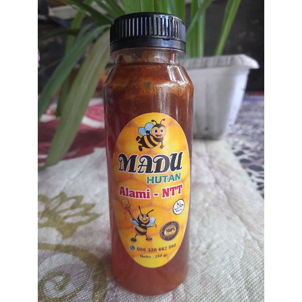 

madu hutan