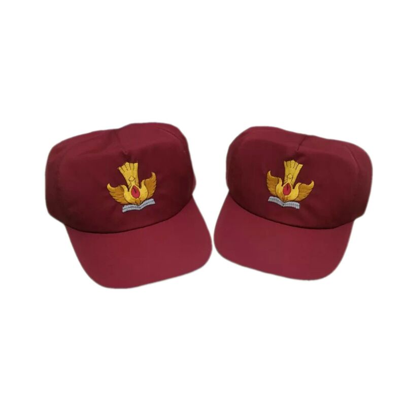 Topi Sekolah SD Topi SD BISA PAKAI NAMA