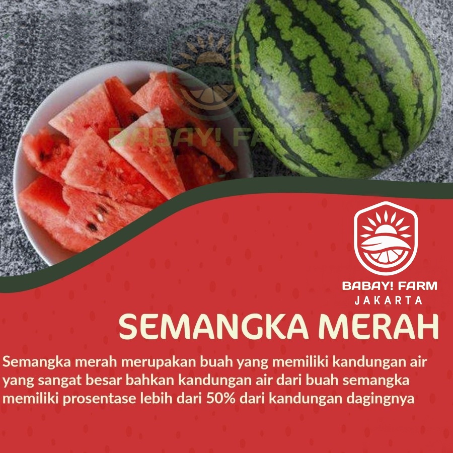 buah semangka merah biji