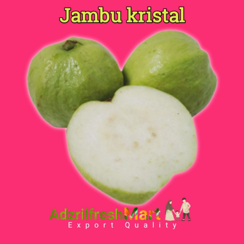 

BUAH JAMBU KRISTAL PREMIUM FRESH