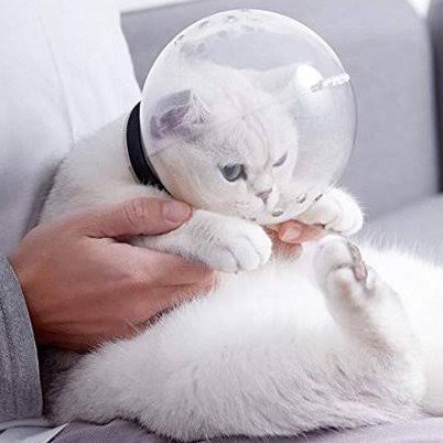 Mainan Helm Mandi Grooming Kucing Anti Gigit Anti Cakar / Pet Cone Bulat