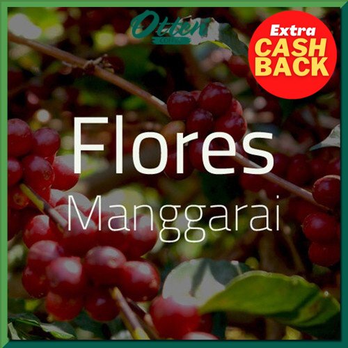 Green Bean Kopi Arabica Flores Manggarai - 1 Kg - Biji Kopi Mentah Siap Roasting - Otten Coffee