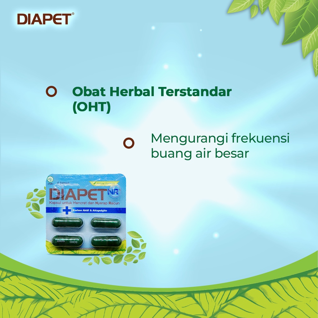 Diapet NR (Nyerap Racun) Kapsul Untuk Mencret 10 Strip isi 4 Kapsul