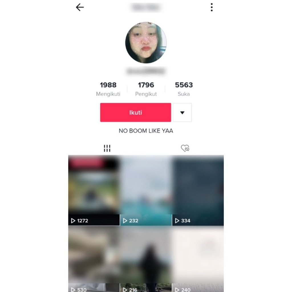 AKUN TIKTOK 1.700 Followers ( Blog Pribadi )