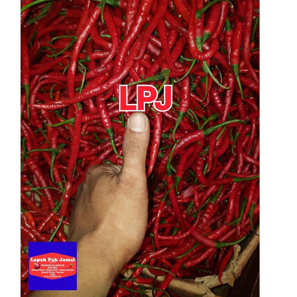

Ready Stok Cabai MERAH KERITING - 250 Gram - LPJ