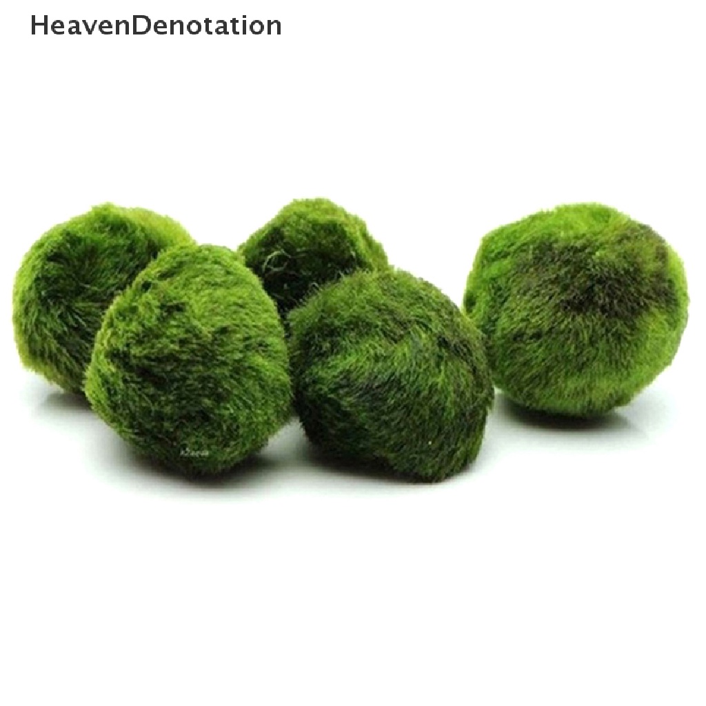 [HeavenDenotation] 2-3cm Marimo Balls Algae Fish Shrimp Ornament HDV