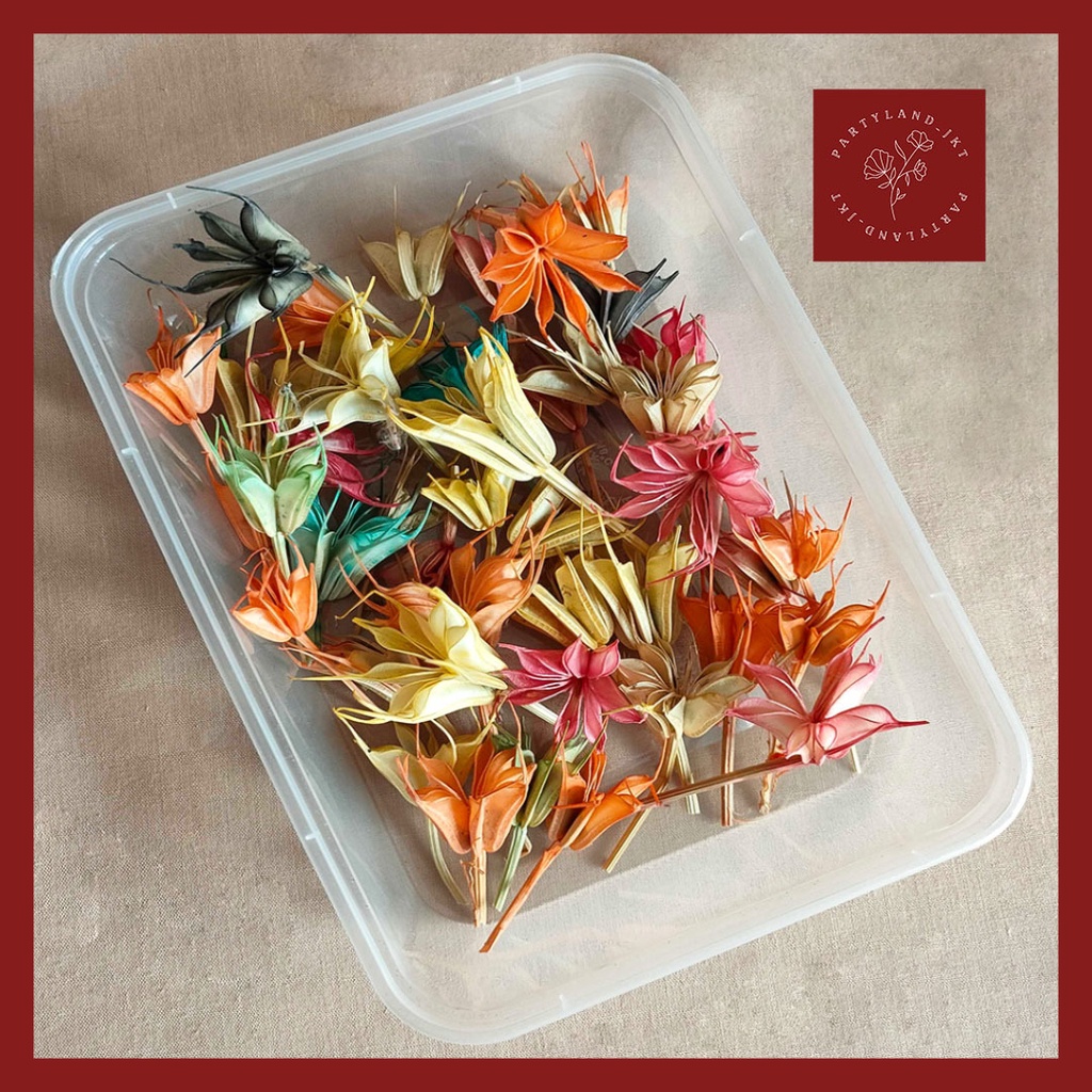 Dried Flower Preserved DIY Rainbow Nigella First Bunga Kering Hias Dekorasi