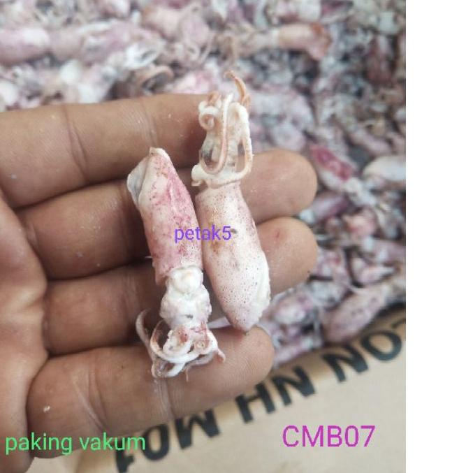 

☊ Cumi asin beby 1kg/ cumi asin baby/cumi asin rebus/cumi asin kecil ♧