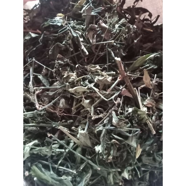 

SAMBILOTO KERING - SAMBIROTO CACAH KERING 1KG - PAITAN JAMU HERBAL