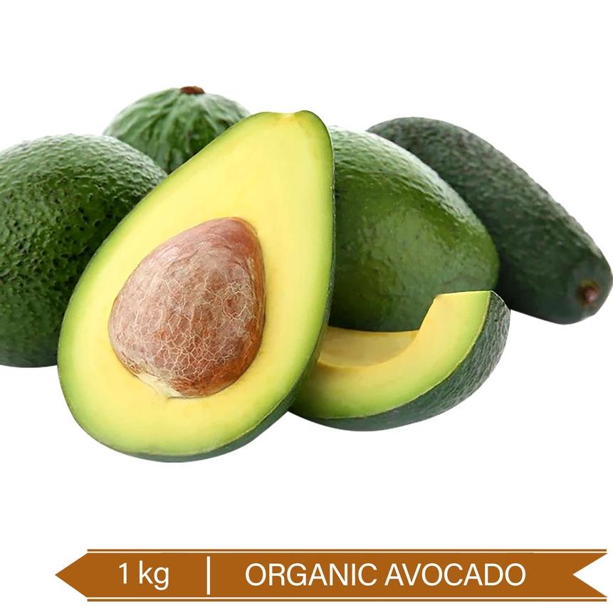 

➷ Buah Alpukat Oganik / Organic Avocado 1kg ➥