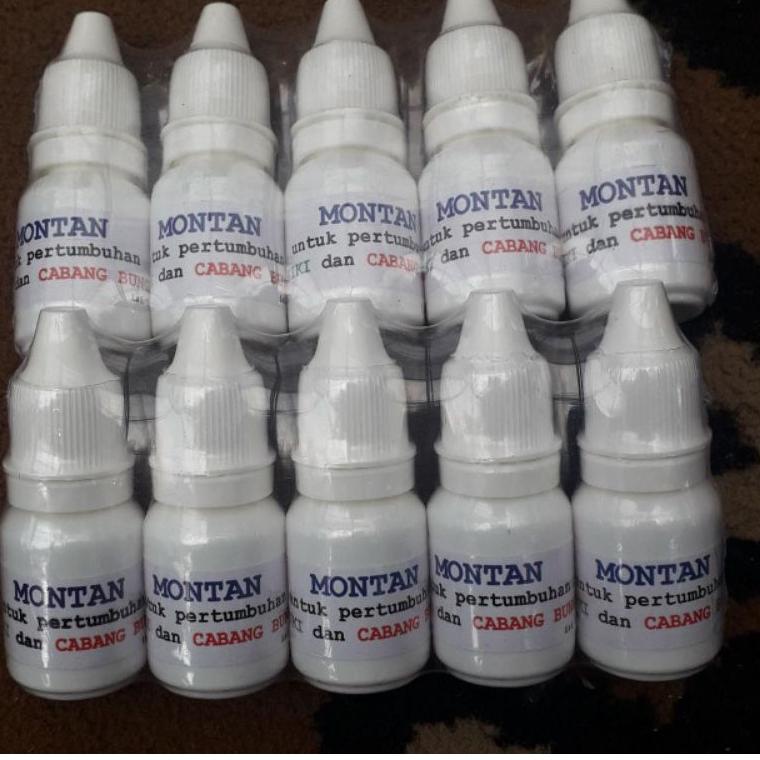 D86 montan penumbuh keiki dan bunga anggrek READY STOCK ➩