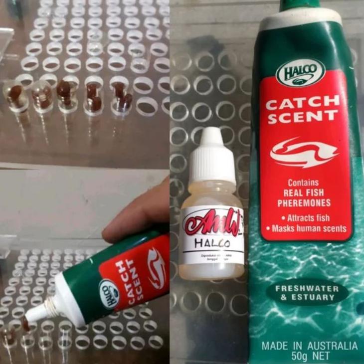 12.12 ✨SALE✨ 5pcs Halco Instan Air Tawar 1x Pakai Kemasan Kapsul Ori Made In Australia ??