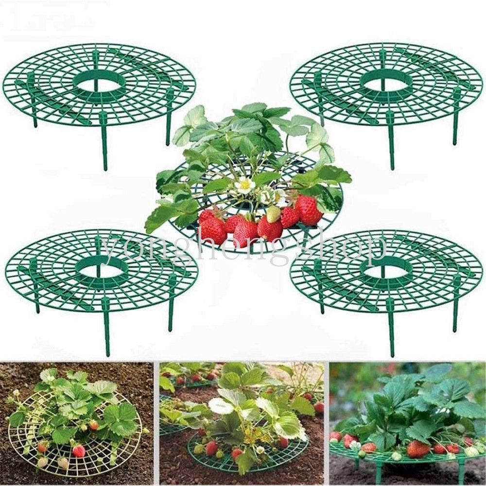 Strawberry Stand Frame Holder Balkon Rak Tanam Penyangga Buah Tanaman Bunga Rambat Rambat Pilar Berkebun Stand