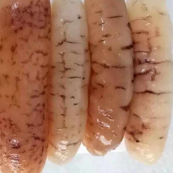 

Terbaru 3.3 Hoisem haisom teripang asli belitung GRADE A 500gr
