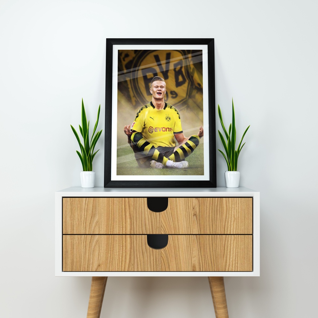 Frame Haaland - Borussia Dortmund