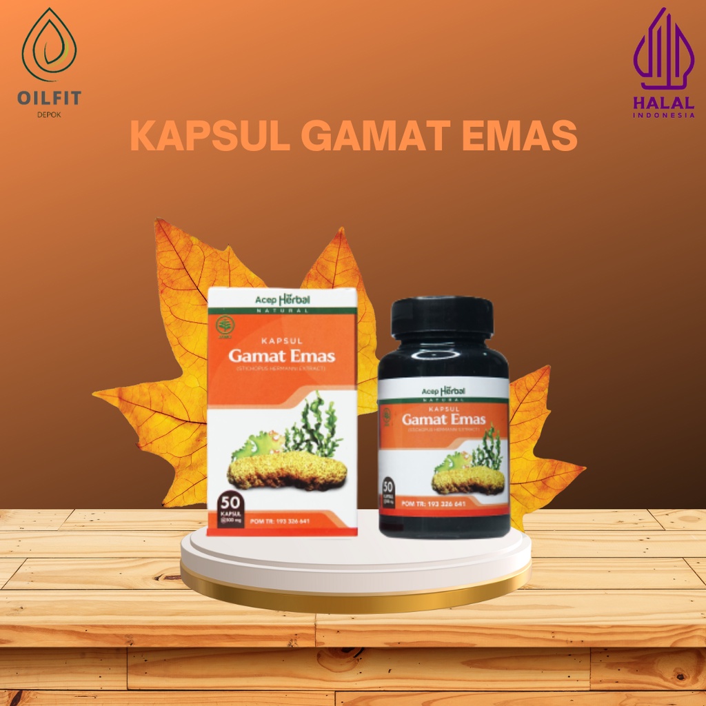 Kapsul Gamat Emas Original Kapsul Gamat Gold Kapsul Gamad Emas Kapsul Gamat Herbal