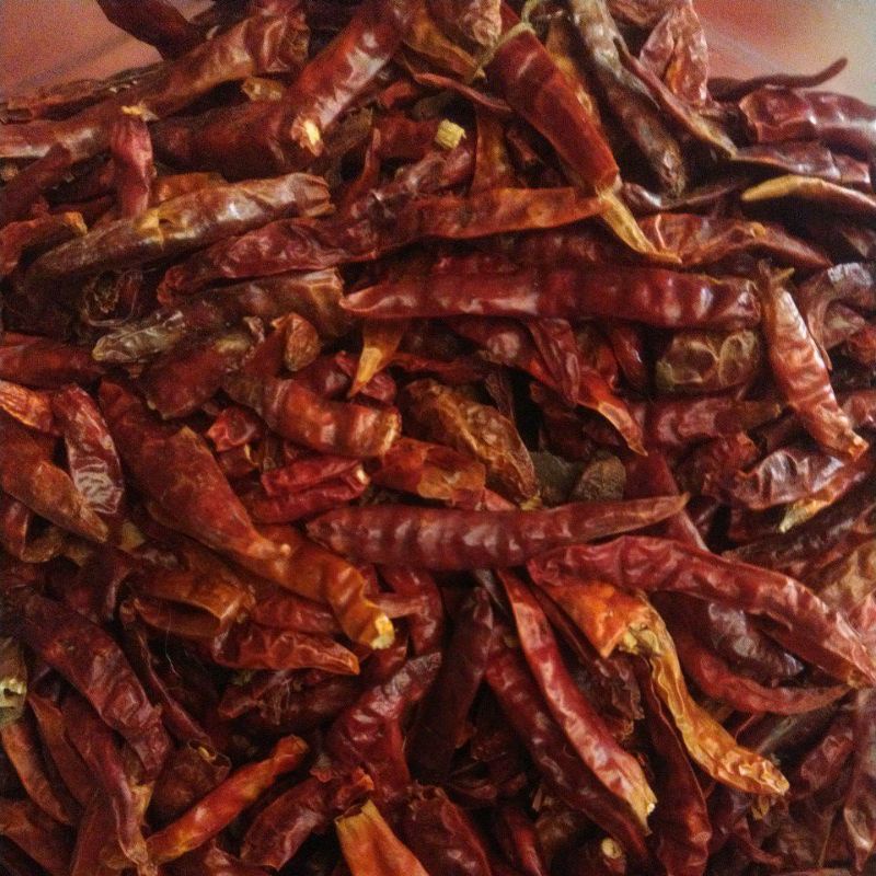 

Cabe kering teja, super pedas 500 gram
