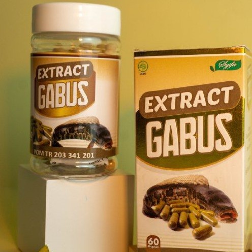 Kapsul Ekstrak Sari Ikan Kutuk Gabus Albumin Untuk Obat Penyembuh Pengering Luka Bakar Diabetes Jahitan Sunat Pasca Melahirkan Operasi Cesar Caesar