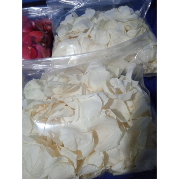 Kelopak Bunga Mawar Asli Segar Kelopak Mawar Putih white rose petals