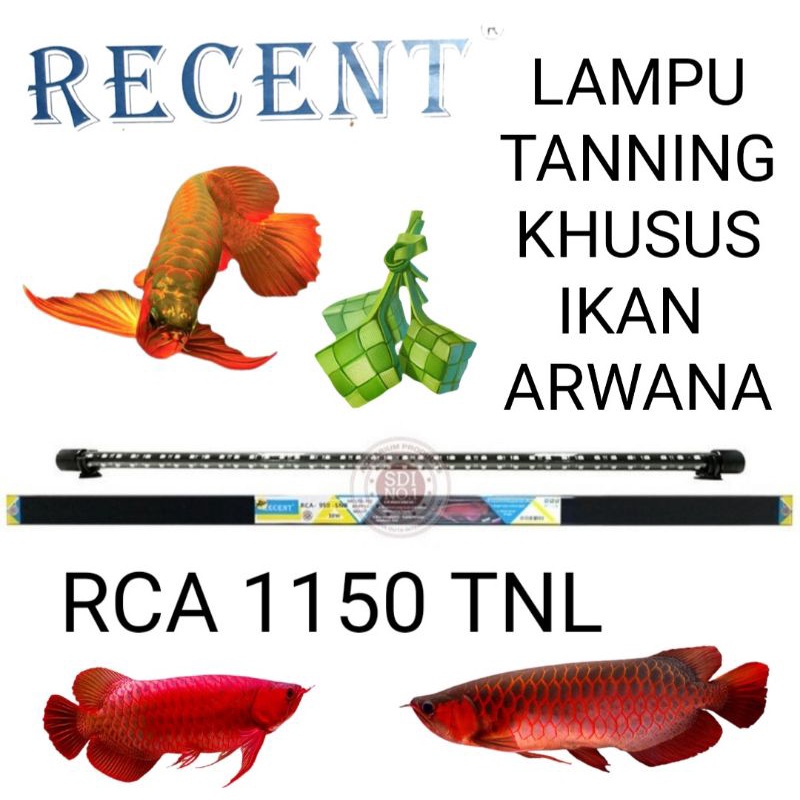 LAMPU TANNING AQUARIUM RCA 1150 TNL RECENT