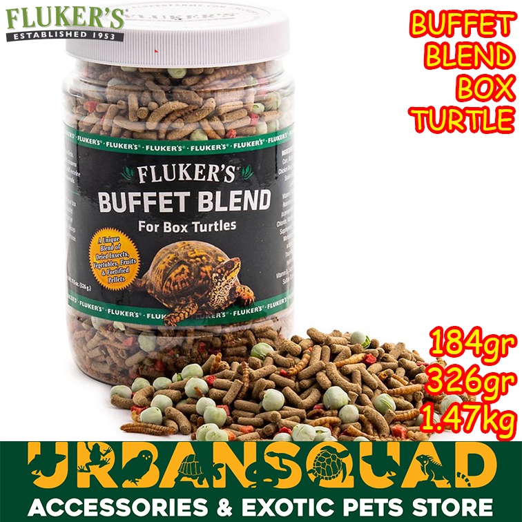 FLUKER BUFFET BLEND BOX TURTLE MAKANAN KURA AIR CST DAMER RES BRAZIL