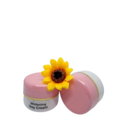 PAKET 2IN1 CREAM  (SIANG DAN MALAM)